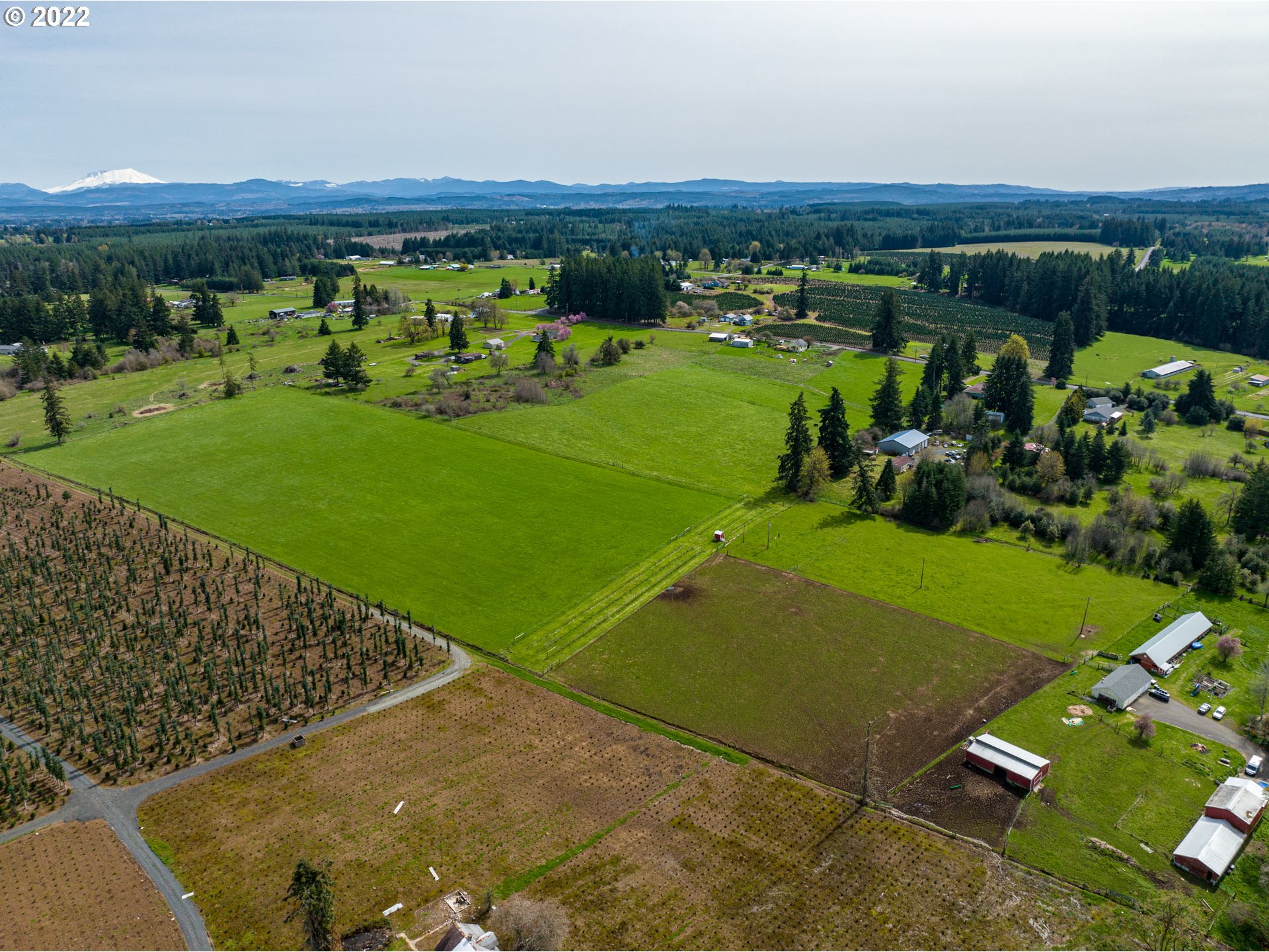 Ferrier Road Winlock, WA 98596 - Photo 5 of 24 a view of a golf course with a yard