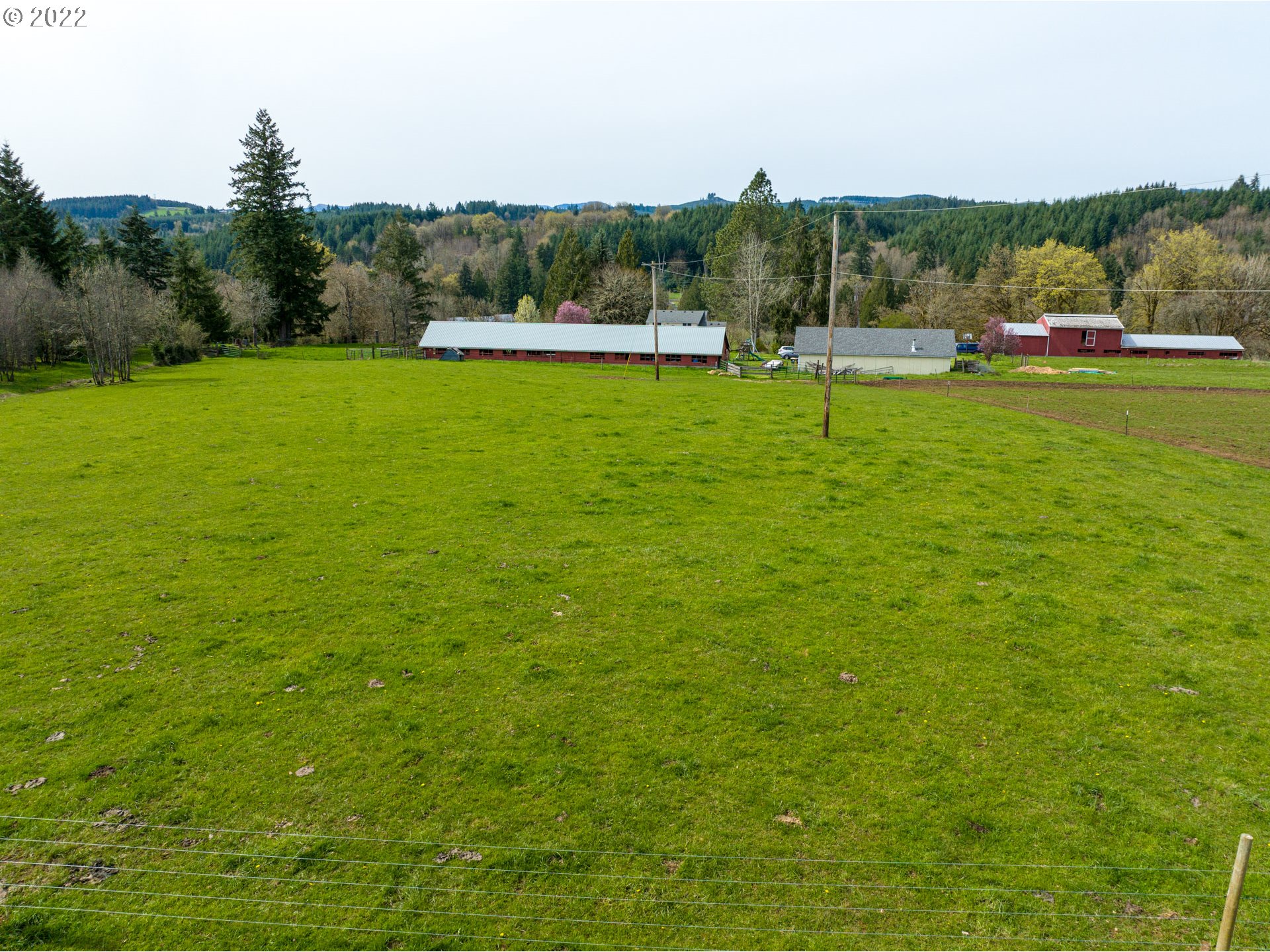 Ferrier Road Winlock, WA 98596 - Photo 8 of 24 a view of a green field with trees in the background