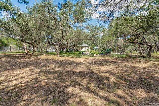 a view of a yard with a tree