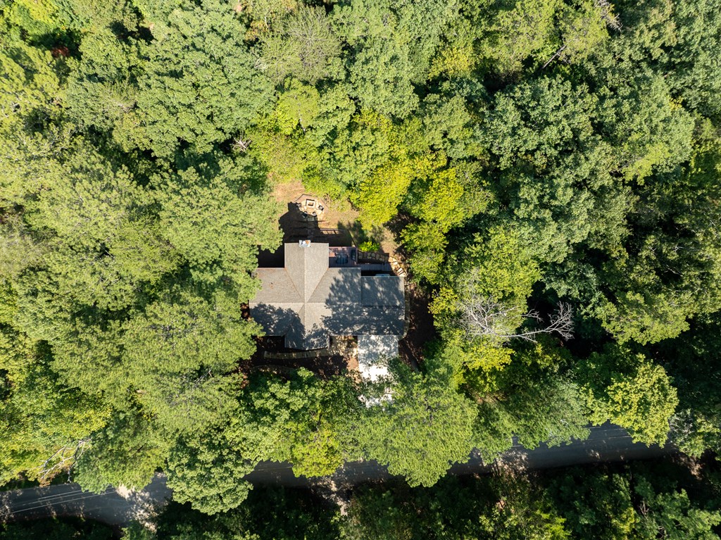 345 Darian Way Ellijay, GA 30540 - Photo 15 of 53