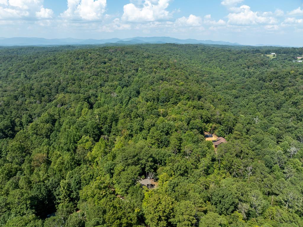 345 Darian Way Ellijay, GA 30540 - Photo 17 of 53