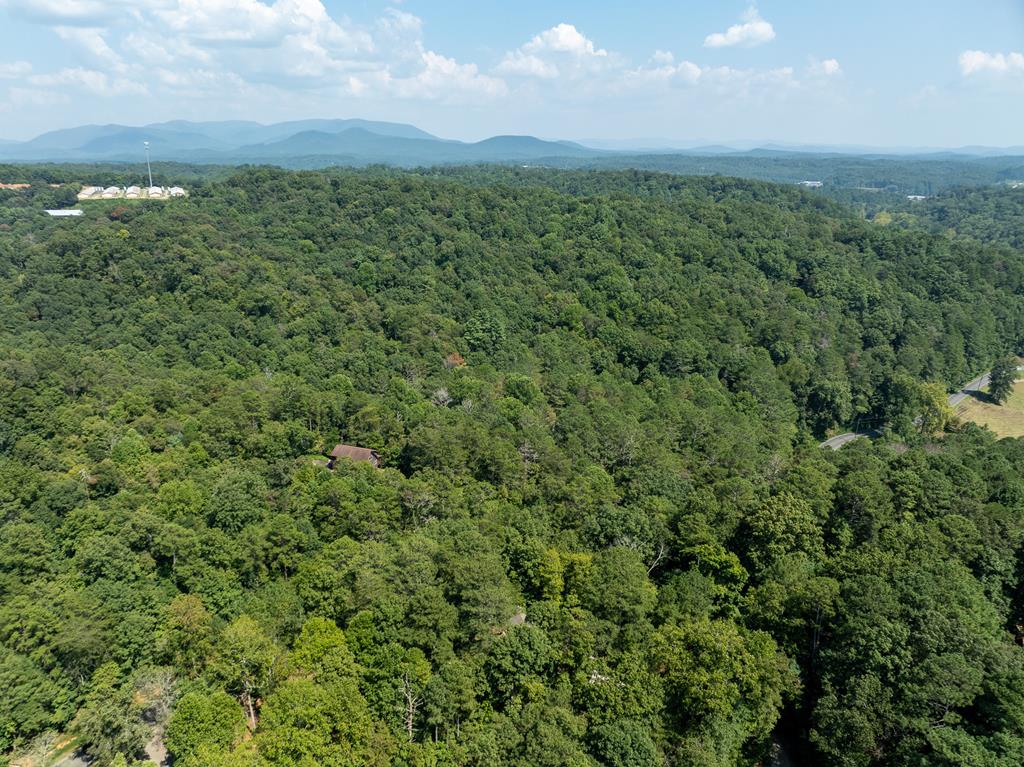 345 Darian Way Ellijay, GA 30540 - Photo 18 of 53