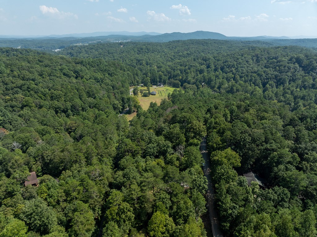 345 Darian Way Ellijay, GA 30540 - Photo 19 of 53