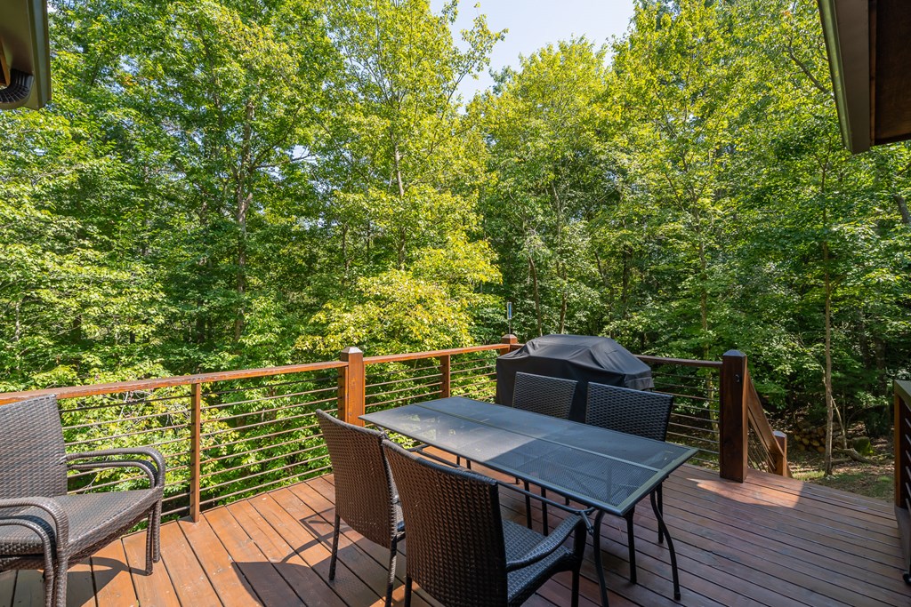 345 Darian Way Ellijay, GA 30540 - Photo 53 of 53