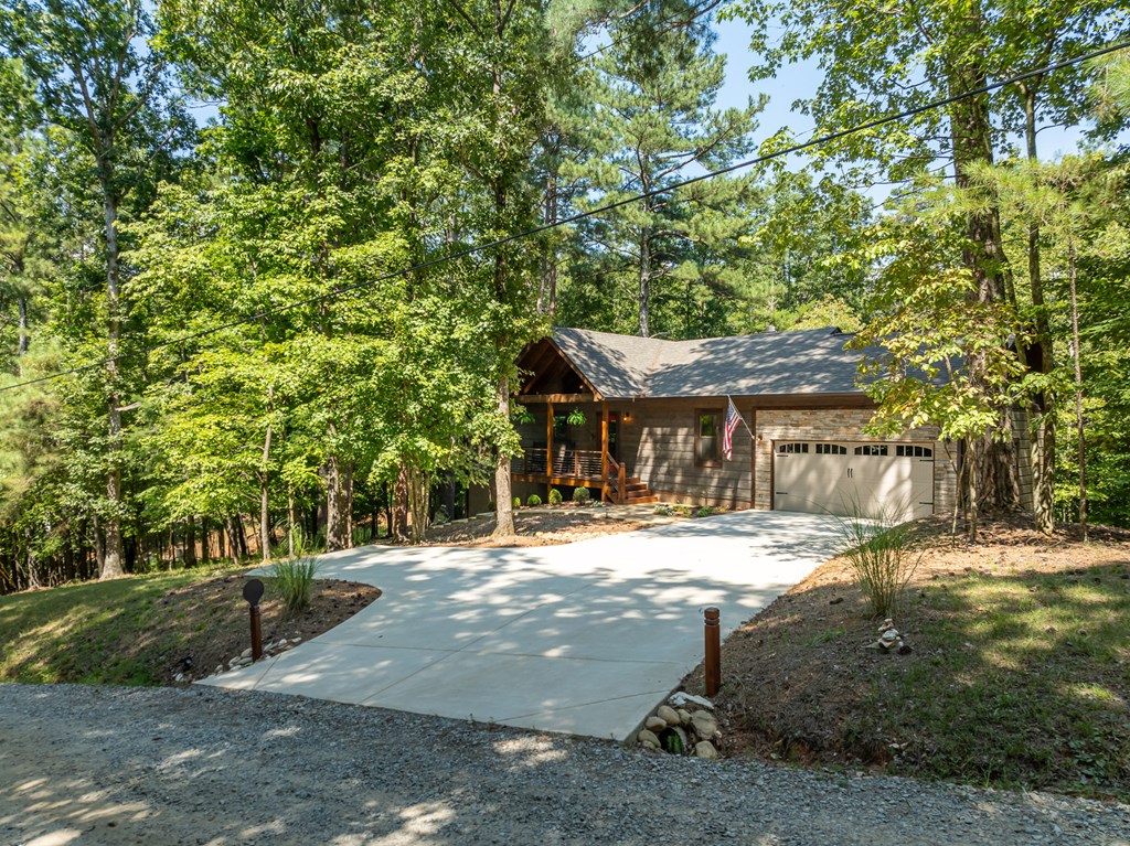 345 Darian Way Ellijay, GA 30540 - Photo 6 of 53