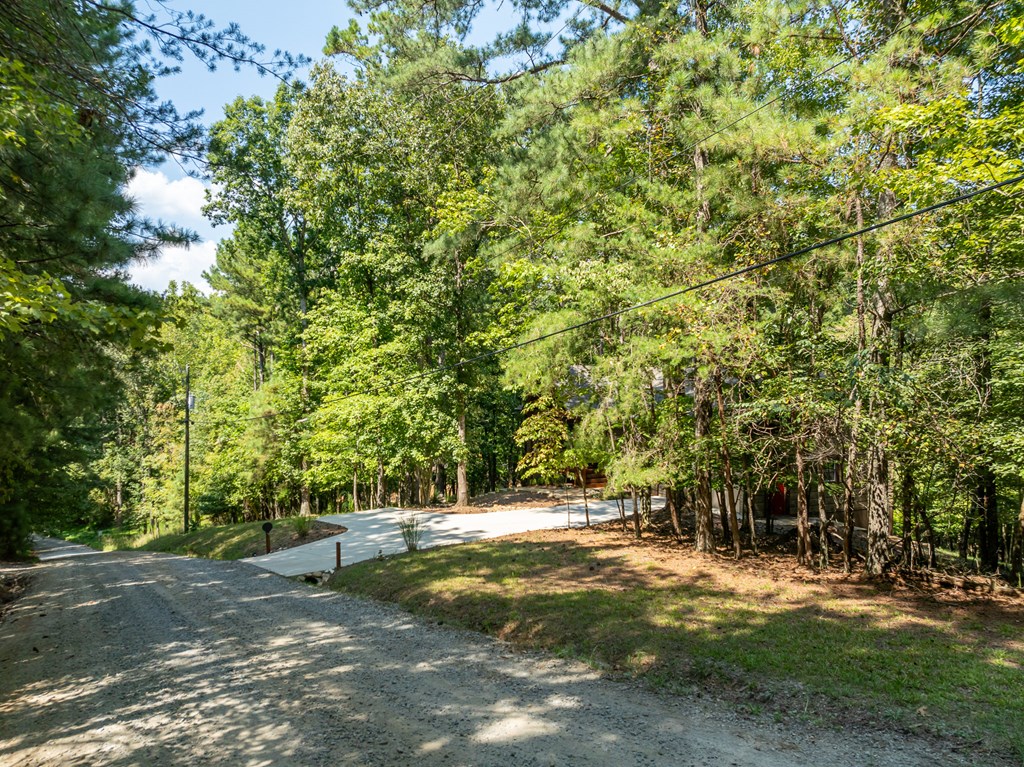 345 Darian Way Ellijay, GA 30540 - Photo 7 of 53