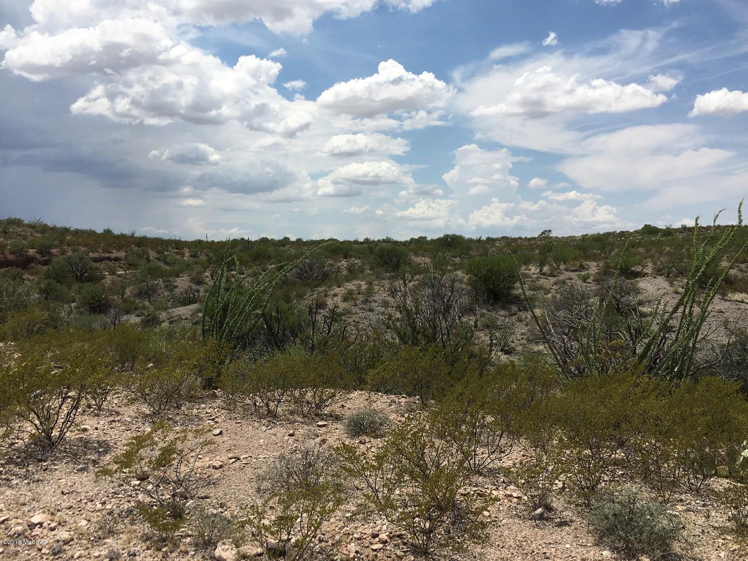 17178 East Zoo Stage Road Vail, AZ 85641 - Photo 22 of 24 Gallery Image 22