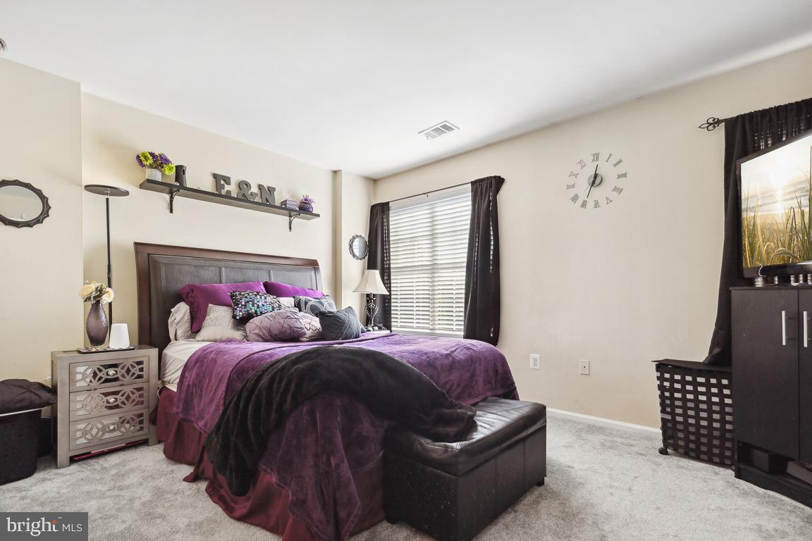 20863 Apollo Terrace Ashburn, VA 20147 - Photo 13 of 27 Primarty Owners Bedroom