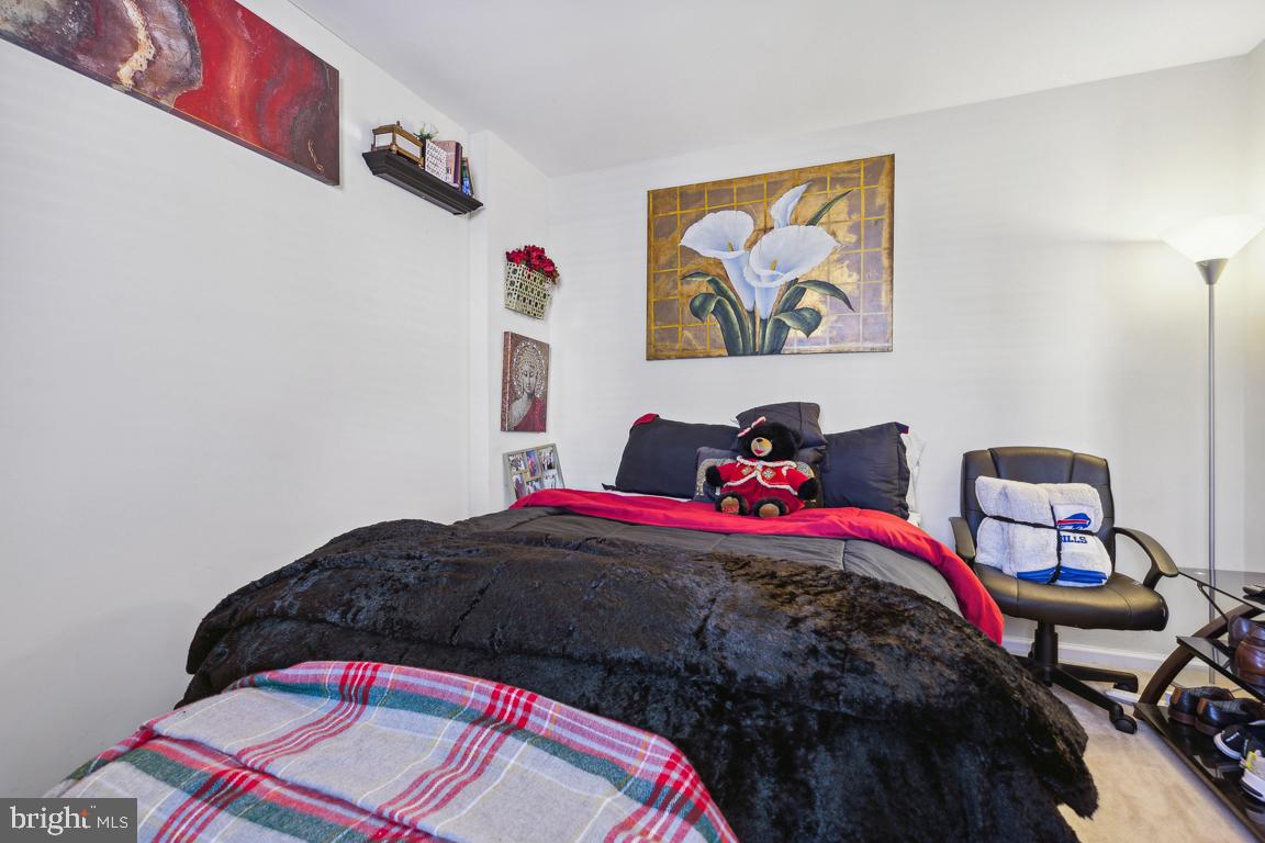 20863 Apollo Terrace Ashburn, VA 20147 - Photo 18 of 27 Bedroom 4 on the Lower Level