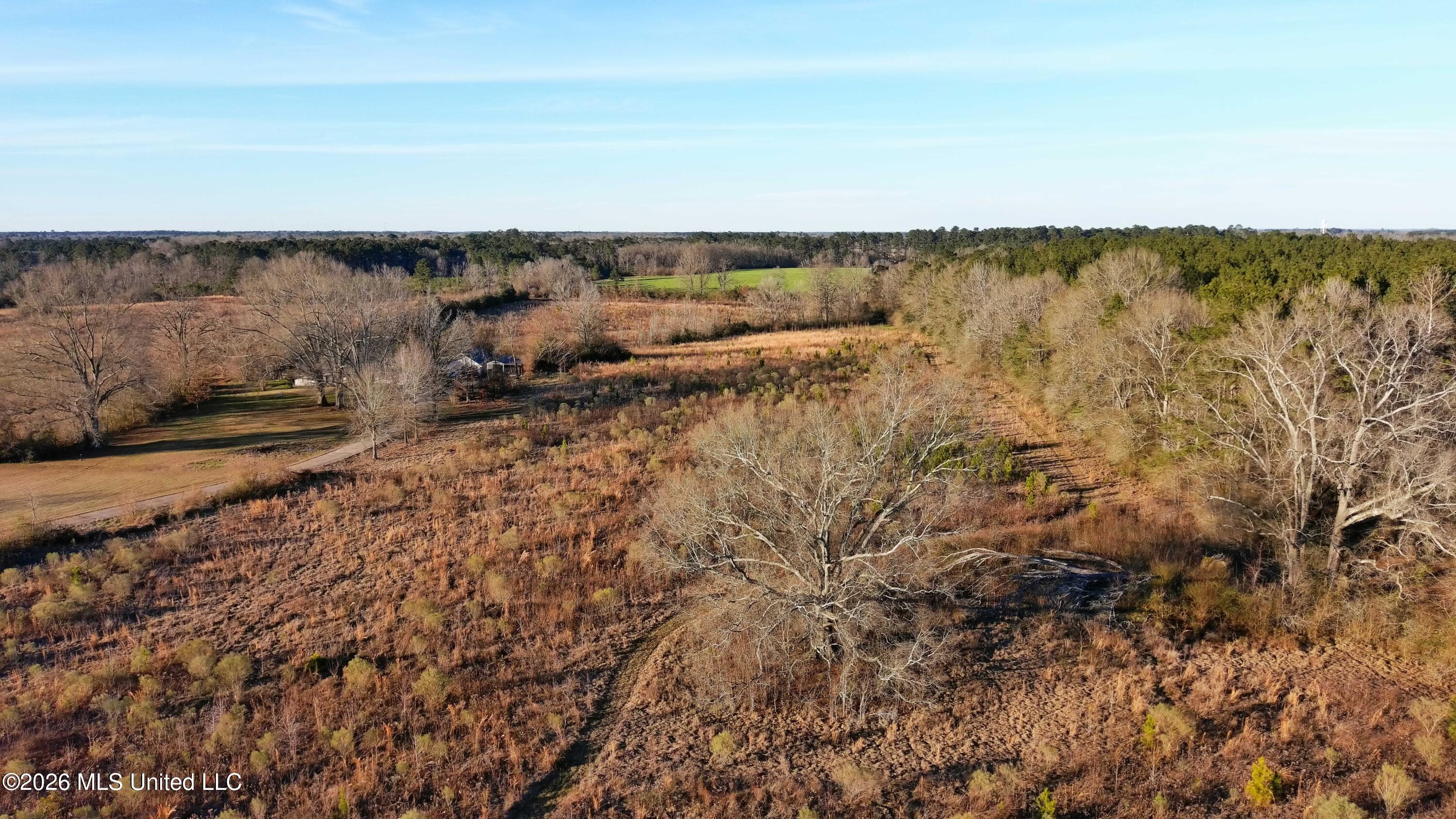 18.7 Northeast Nola Road Brookhaven, MS 39601 - Photo 11 of 15 MAX_0115