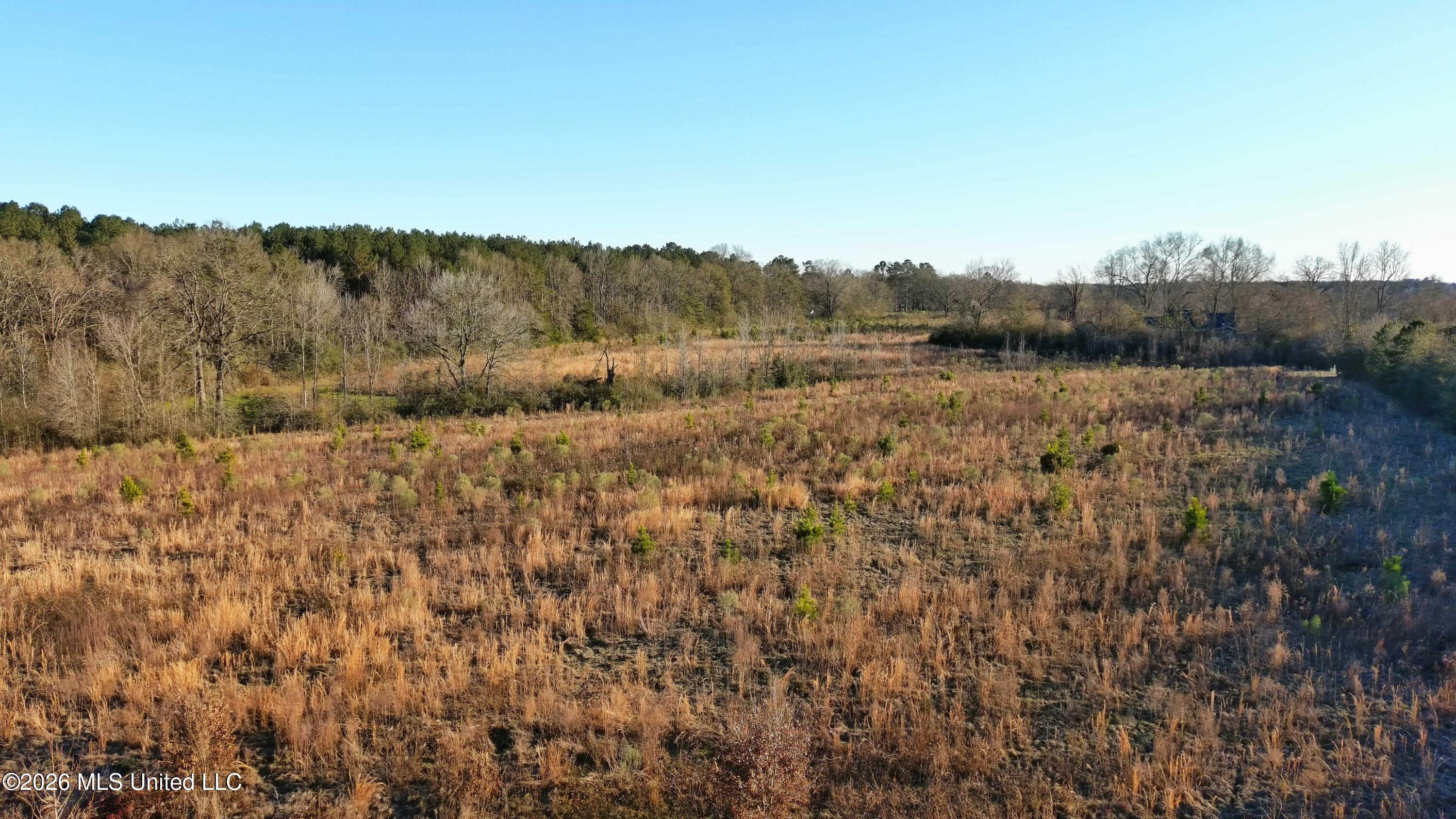 18.7 Northeast Nola Road Brookhaven, MS 39601 - Photo 7 of 15 MAX_0111