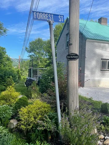 a view of a backyard with plants
