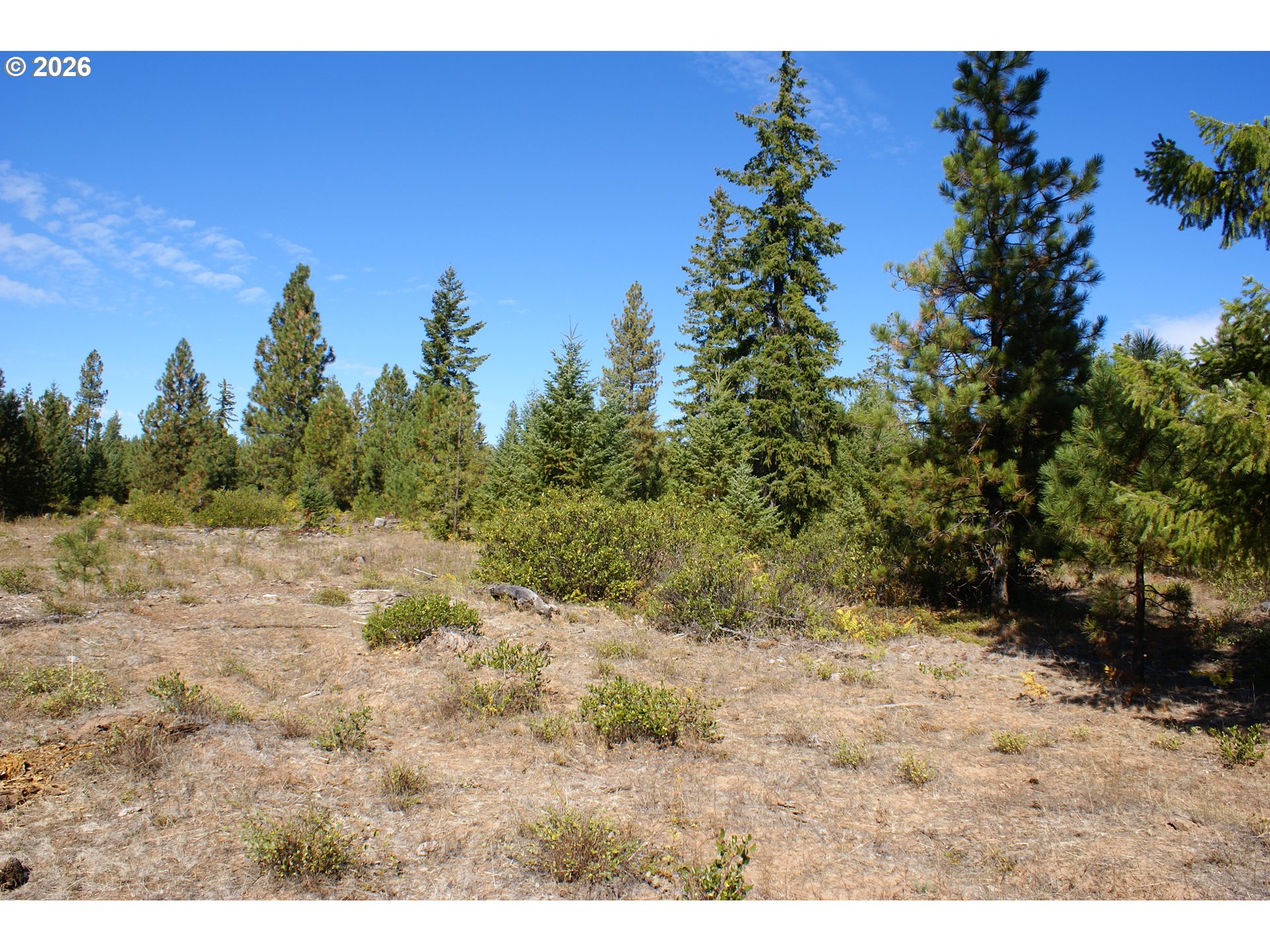 Cedar Valley Road Goldendale, WA 98620 - Photo 12 of 13 a view of a dry yard