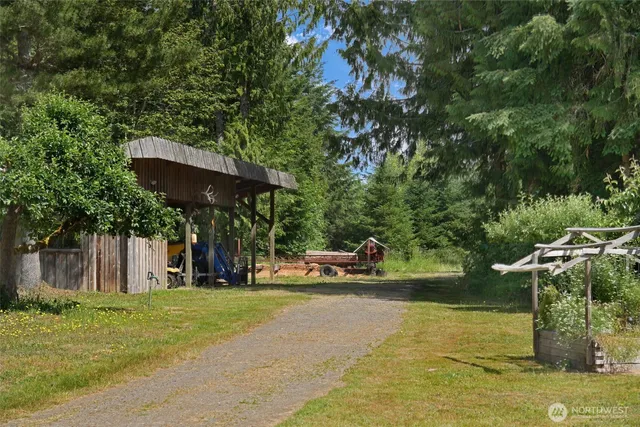 a view of a lush green forest with lots of trees