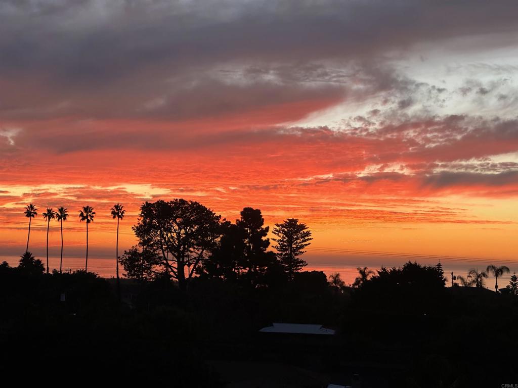 1007 Eolus Avenue Encinitas, CA 92024 - Photo 3 of 49 Amazing Sunsets