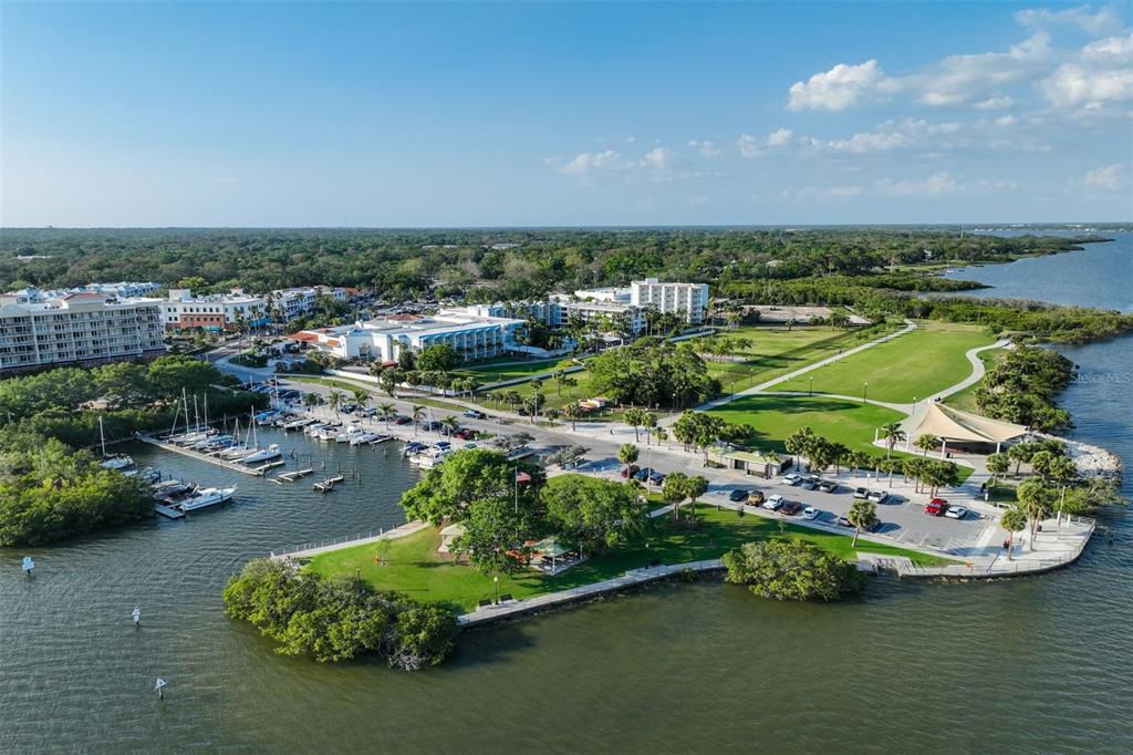 243 South McMullen Booth Road, Unit 29 Clearwater, FL 33759 - Photo 16 of 20 an aerial view of a house with a garden and lake view
