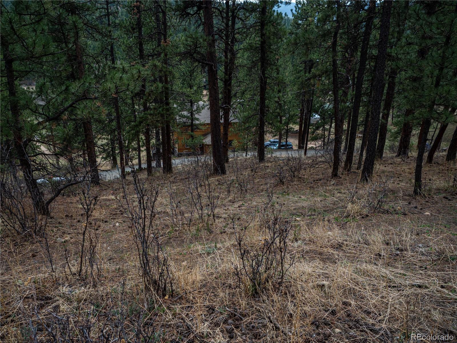 470 Mesa Drive Evergreen, CO 80439 - Photo 12 of 28 a view of a forest with trees in the background