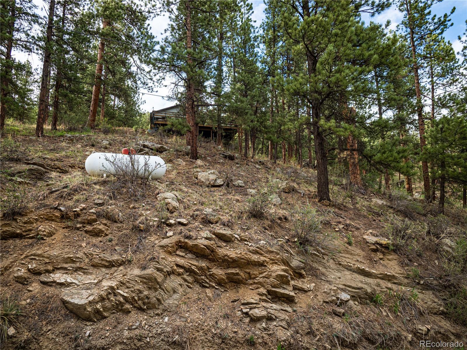 470 Mesa Drive Evergreen, CO 80439 - Photo 15 of 28 a backyard of a house with lots of green space