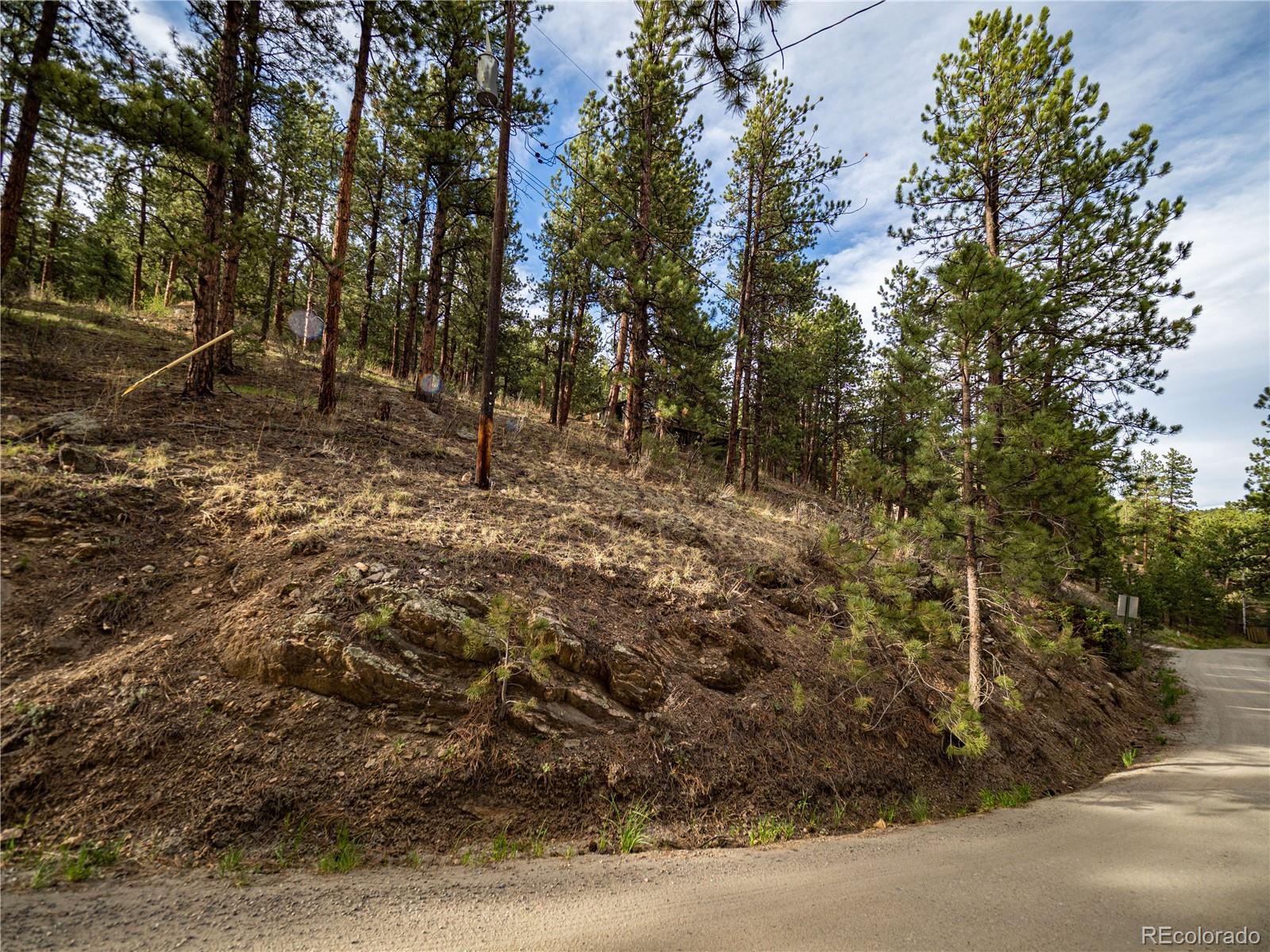 470 Mesa Drive Evergreen, CO 80439 - Photo 16 of 28 a big yard with lots of green space