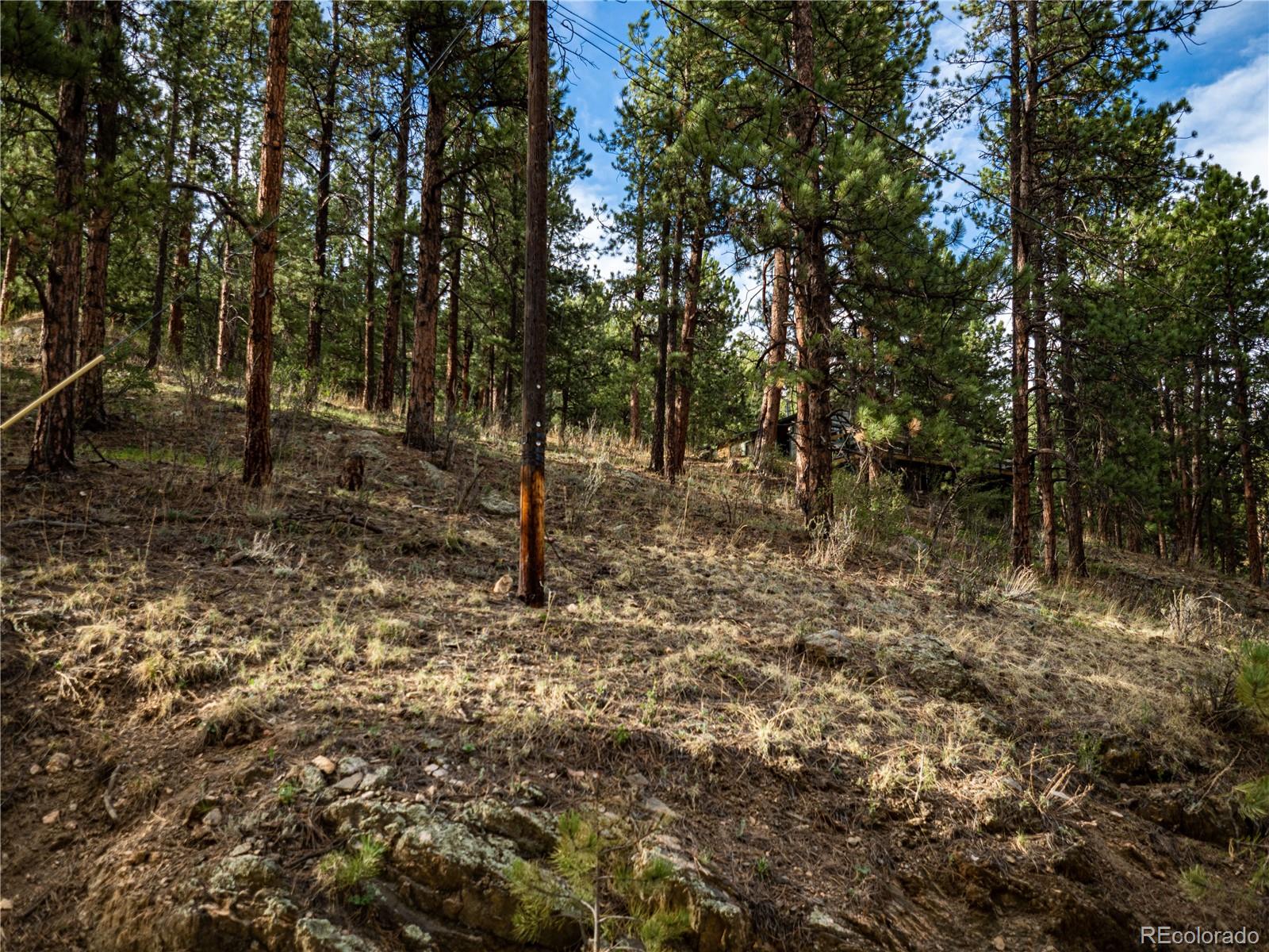470 Mesa Drive Evergreen, CO 80439 - Photo 17 of 28 a view of a forest with trees in the background