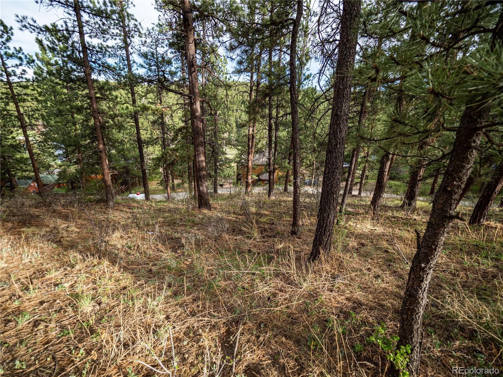 470 Mesa Drive Evergreen, CO 80439 - Photo 18 of 28 a view of outdoor space with trees
