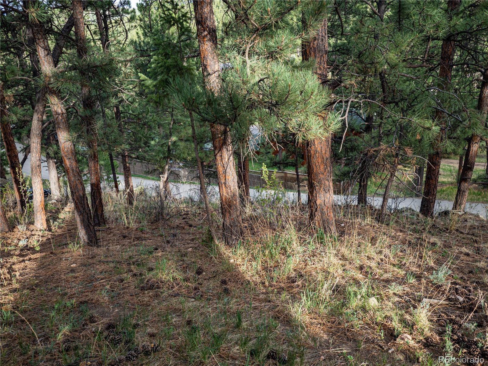 470 Mesa Drive Evergreen, CO 80439 - Photo 27 of 28 a view of electric trees