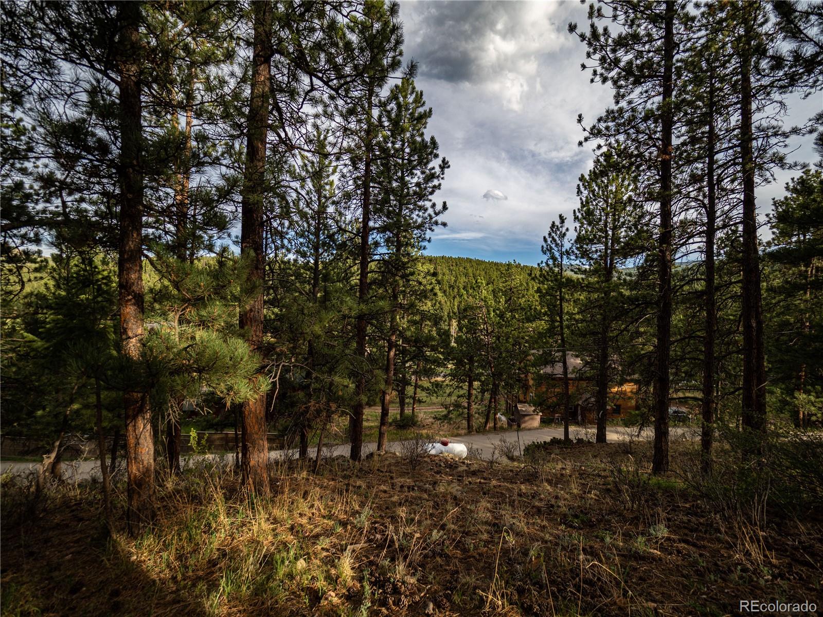 470 Mesa Drive Evergreen, CO 80439 - Photo 28 of 28 a view of a forest filled with trees