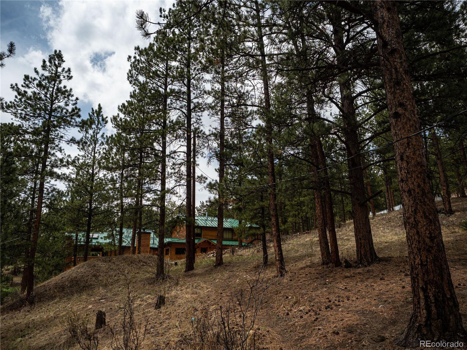 470 Mesa Drive Evergreen, CO 80439 - Photo 4 of 28 a view of a forest with trees in the background