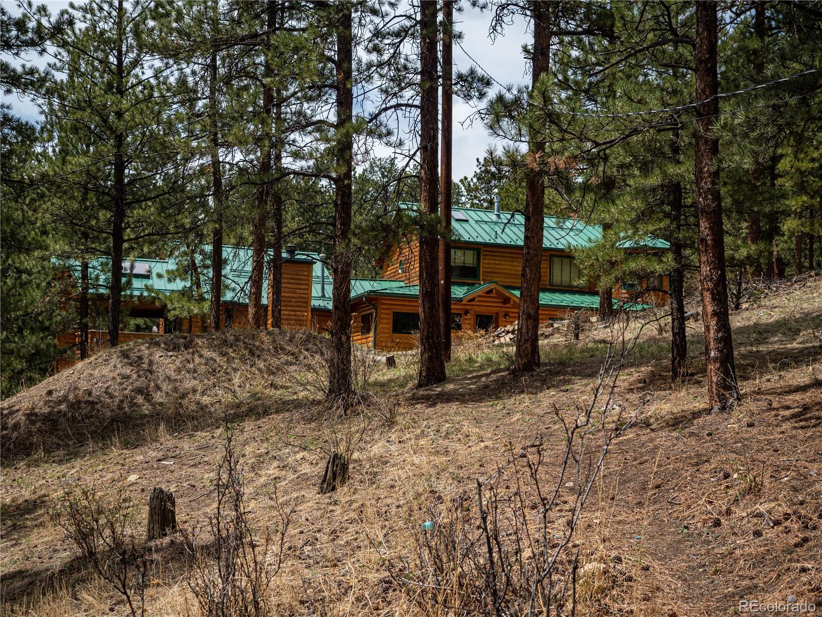 470 Mesa Drive Evergreen, CO 80439 - Photo 8 of 28 a view of outdoor space with trees