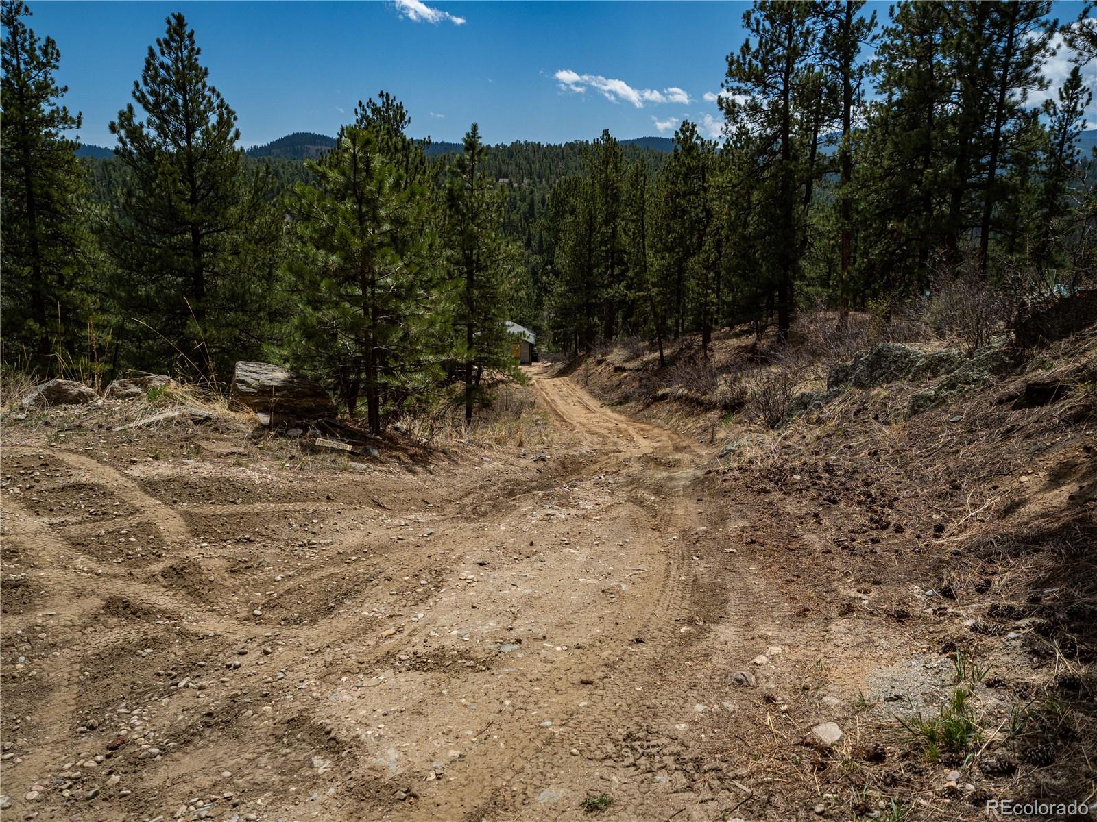 470 Mesa Drive Evergreen, CO 80439 - Photo 9 of 28 a view of a forest with trees