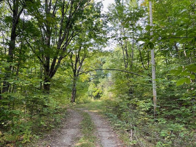 Lot 53 Robb Hill Road Alexander, ME 04694 - Photo 21 of 29 IMG_3392 (2)