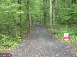 0 Mountain Top Road West New Hope, PA 18938 - Photo 1 of 1 Gallery Image 1