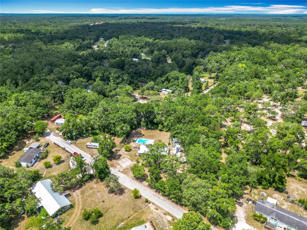 45 Forest Lane Bronson, FL 32621 - Photo 20 of 22 a view of a lush green field