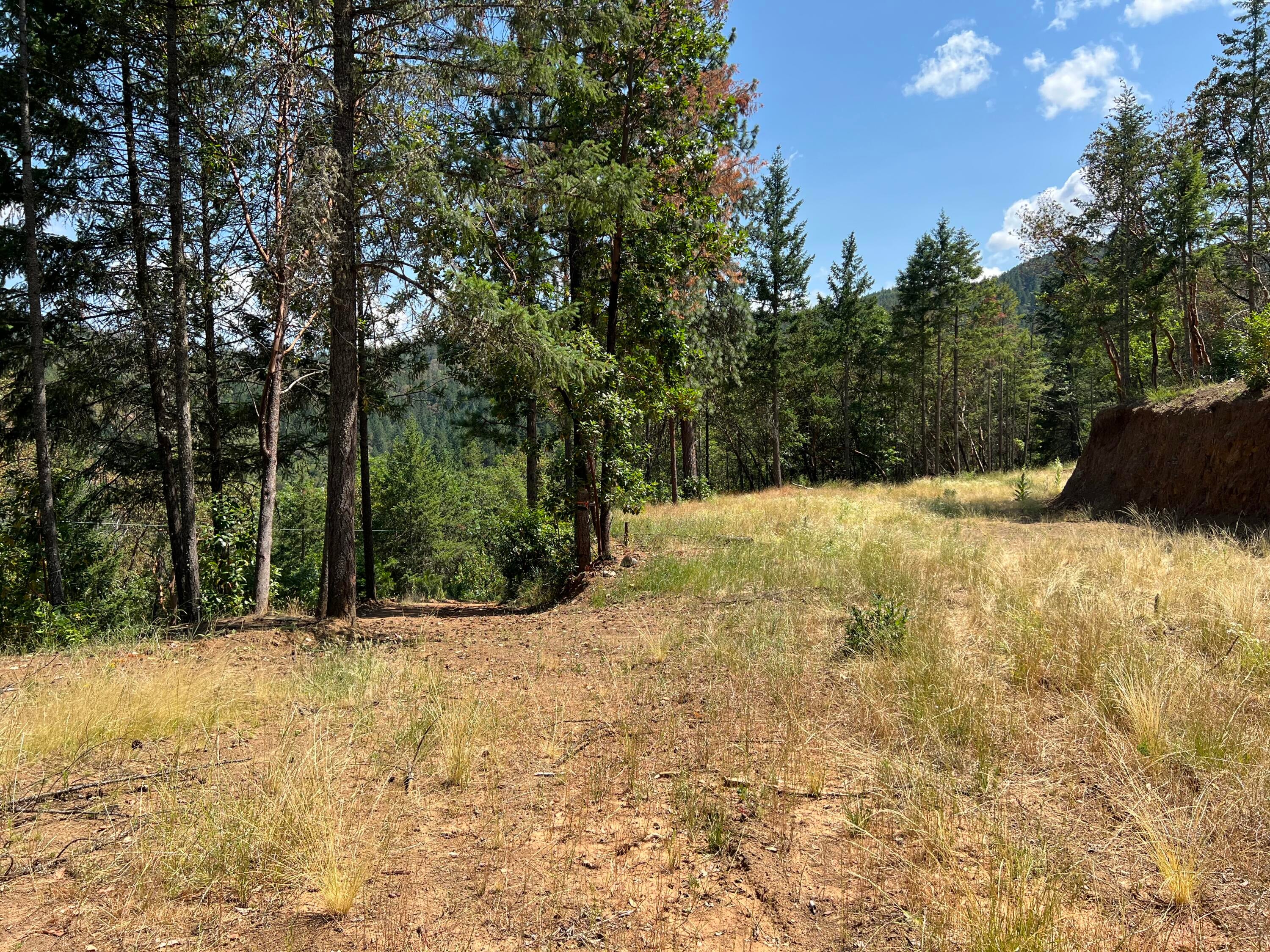 6744 Coleman Creek Road Medford, OR 97501 - Photo 8 of 21 IMG_8968