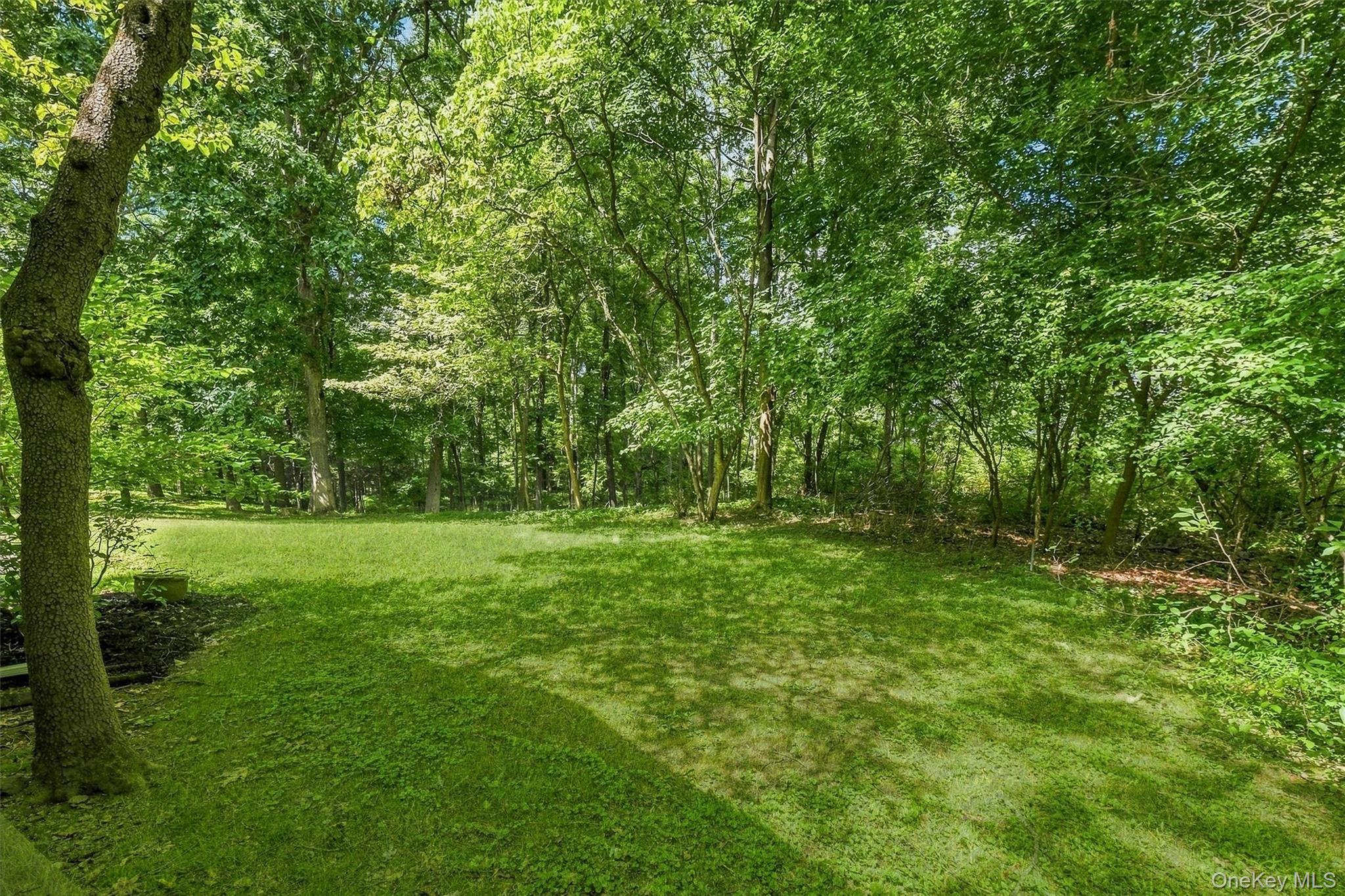 75 Pleasant Ridge Drive Poughkeepsie, NY 12603 - Photo 39 of 47 Nice backyard with privacy of woods in rear