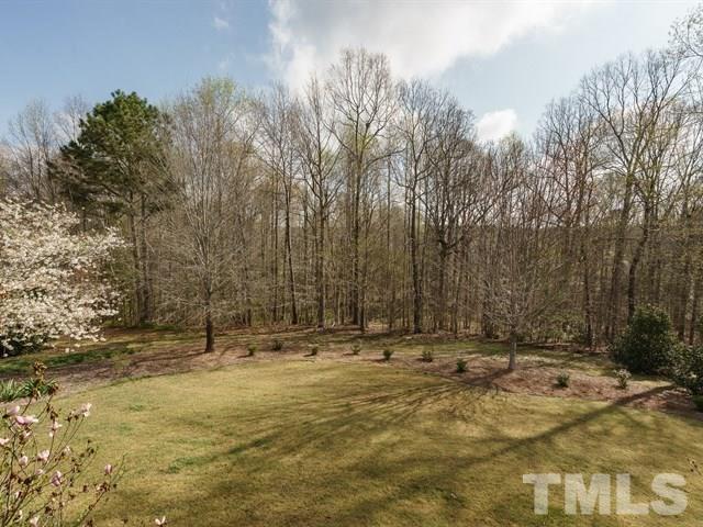 1729 Shell Cracker Drive Willow Spring, NC 27592 - Photo 22 of 22 a view of outdoor space with trees