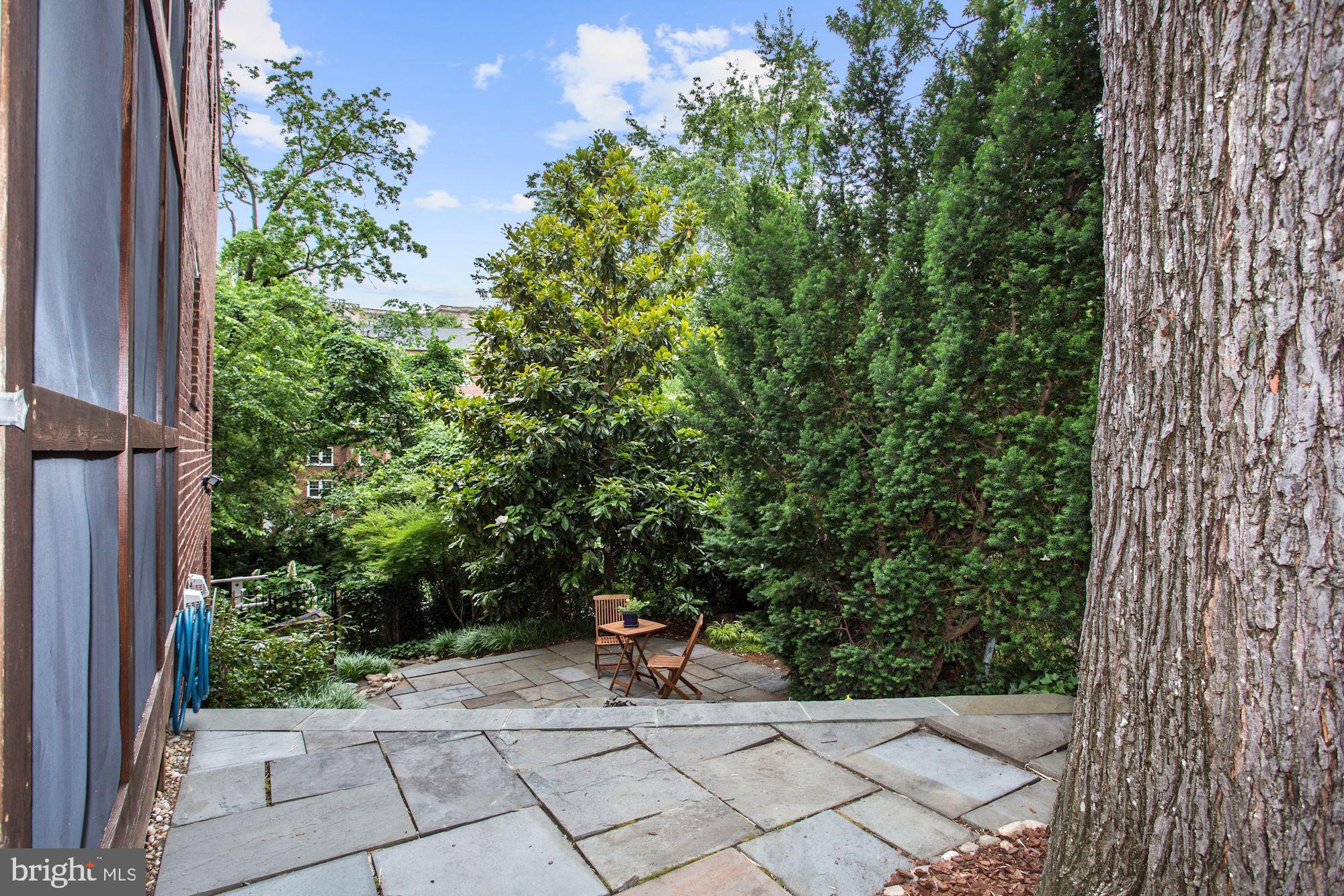 1761 Harvard Street Northwest Washington, DC 20009 - Photo 24 of 35