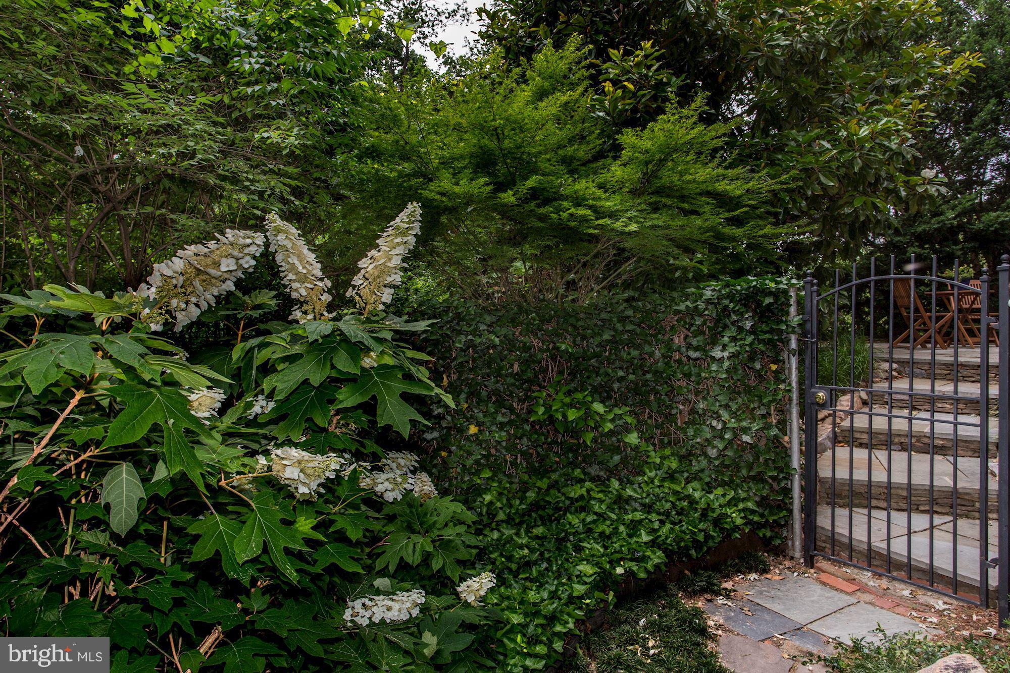 1761 Harvard Street Northwest Washington, DC 20009 - Photo 30 of 35 Private Garden Gates