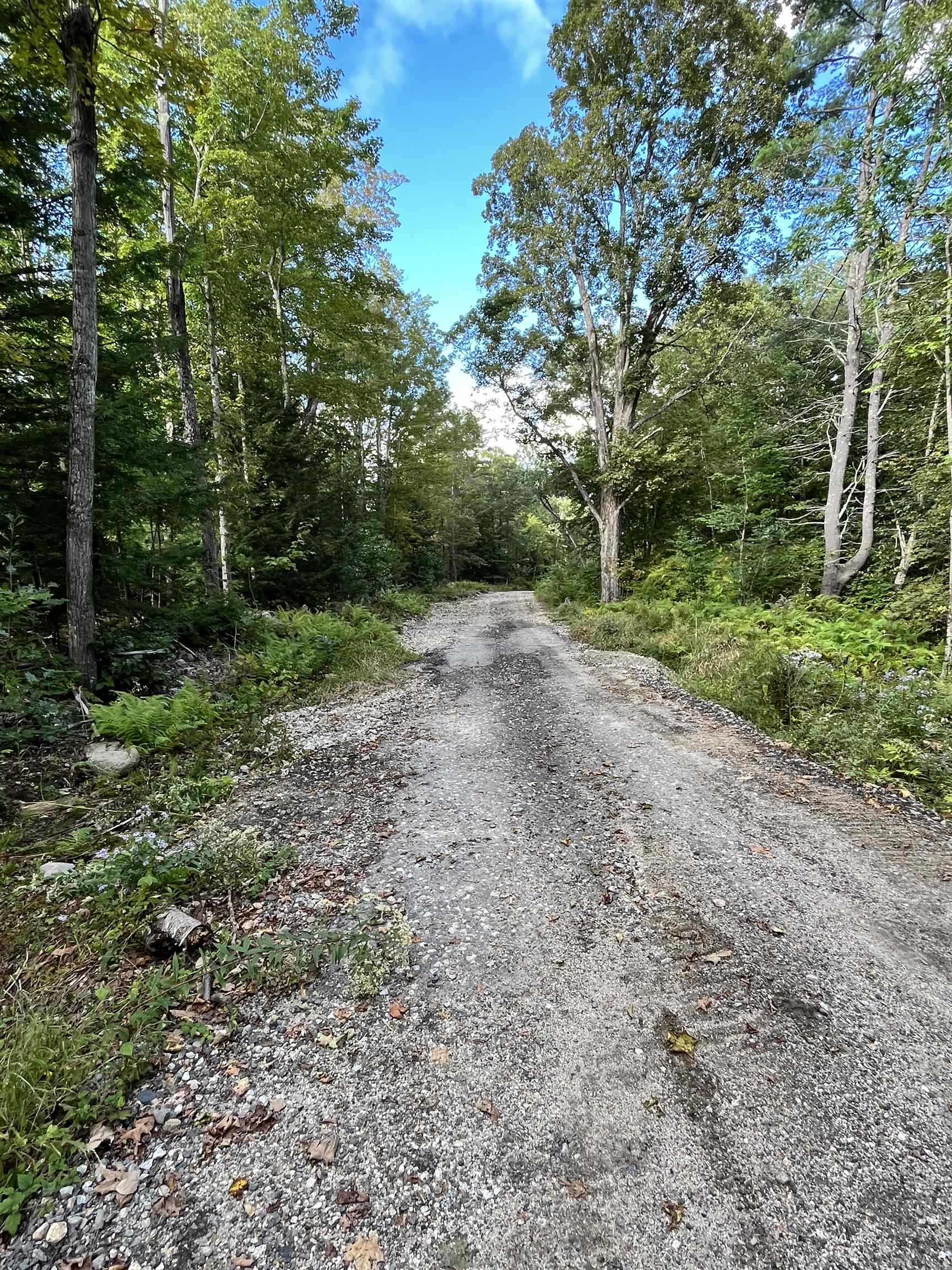 16 Pollys Crossing Road Ossipee, NH 03864 - Photo 3 of 16 Gallery Image 3