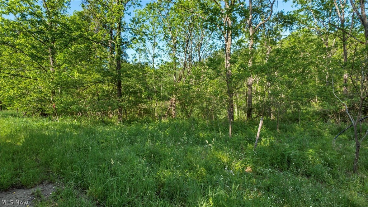 5911 Reform Road Northeast Newark, OH 43055 - Photo 15 of 19 Mature trees and lush green foliage define this expansive natural landscape