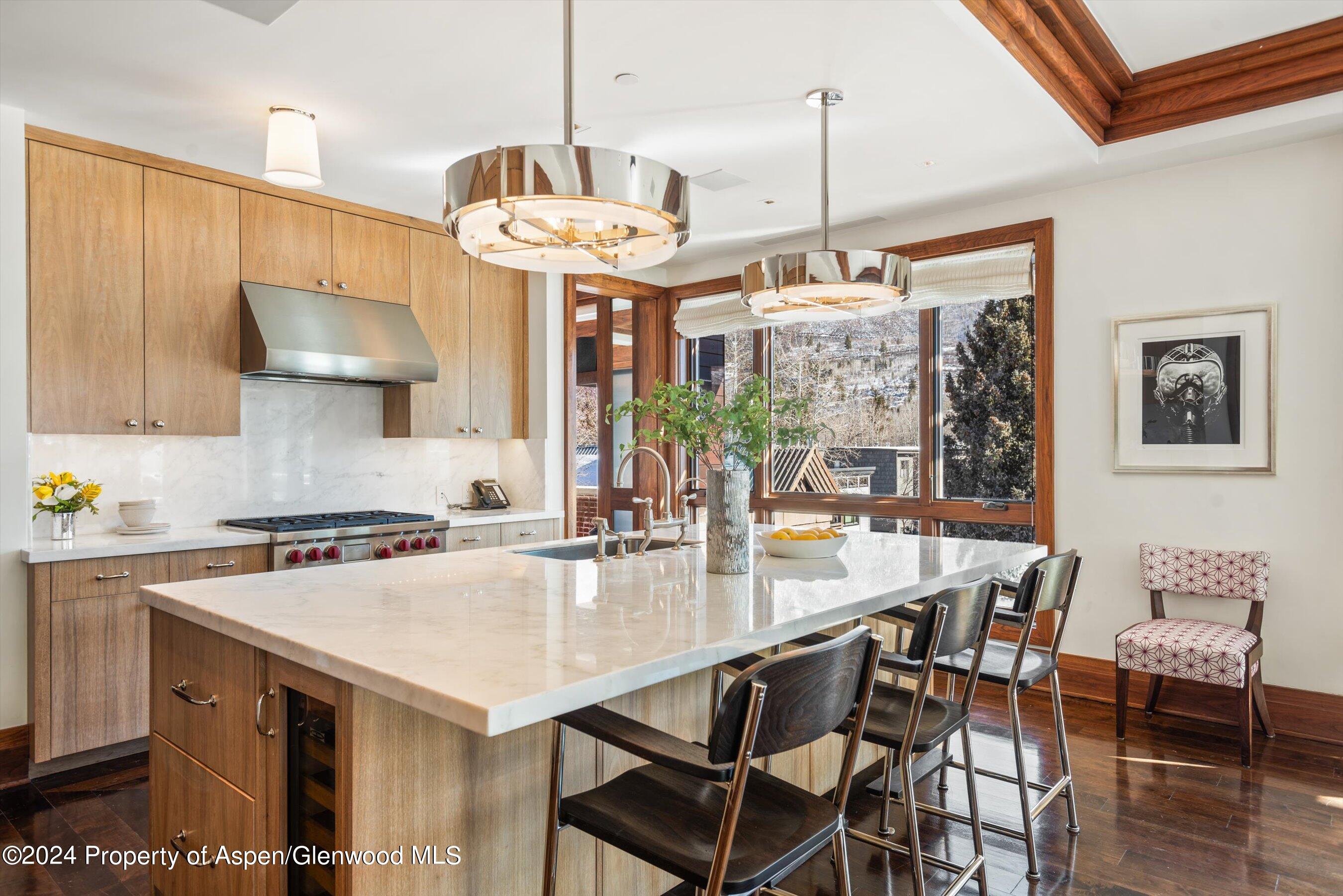 632 East Hopkins Avenue Aspen, CO 81611 - Photo 14 of 40 46-119SSpringSt_24013041