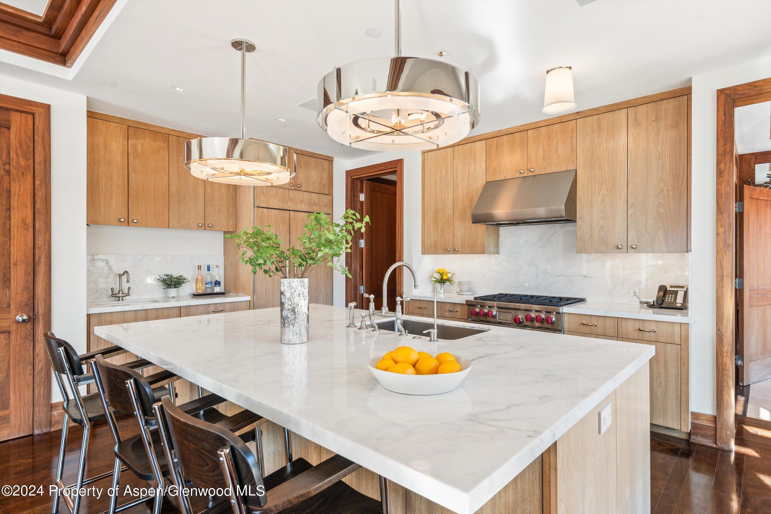 632 East Hopkins Avenue Aspen, CO 81611 - Photo 15 of 40 47-119SSpringSt_24013042