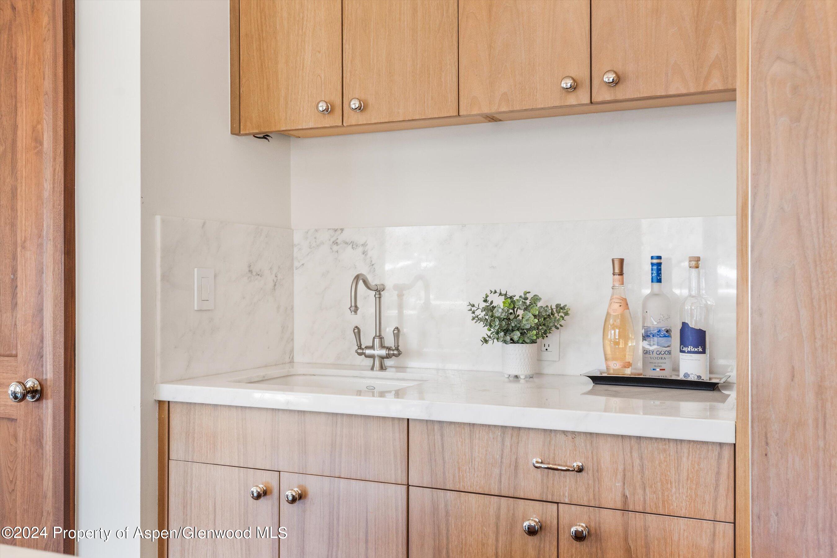 632 East Hopkins Avenue Aspen, CO 81611 - Photo 18 of 40 50-119SSpringSt_24013045