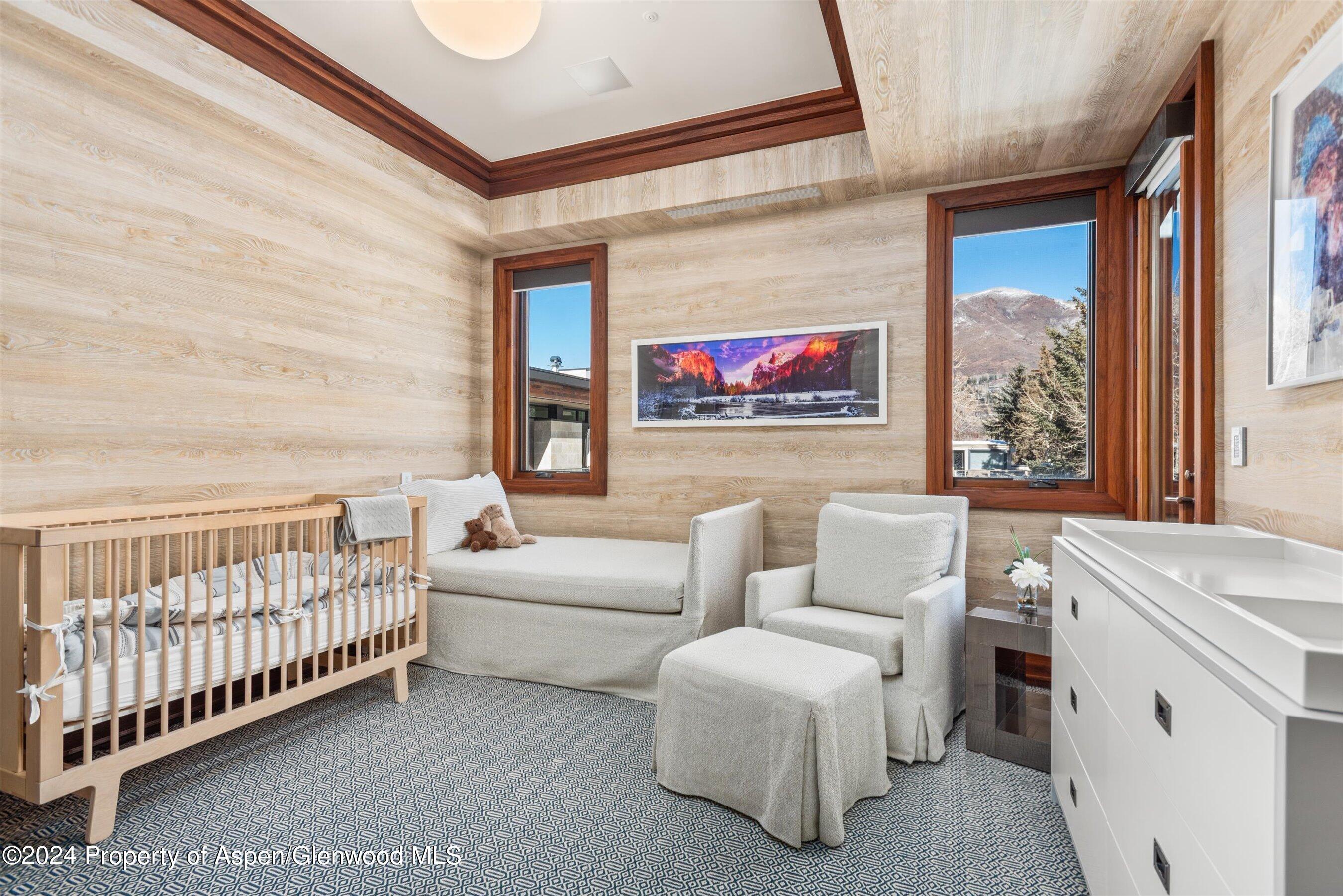 632 East Hopkins Avenue Aspen, CO 81611 - Photo 23 of 40 56-119SSpringSt_24013051