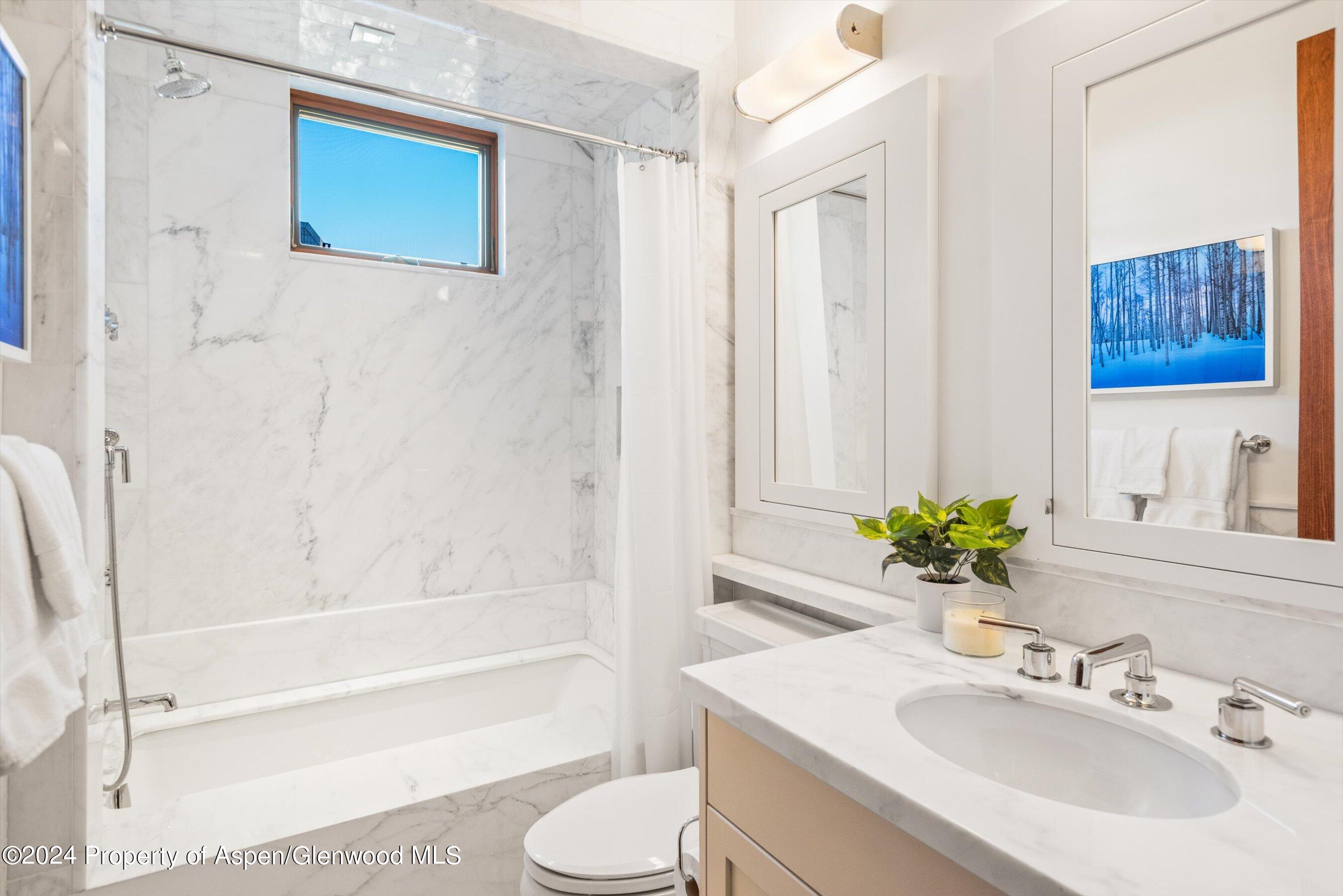 632 East Hopkins Avenue Aspen, CO 81611 - Photo 24 of 40 57-119SSpringSt_24013052