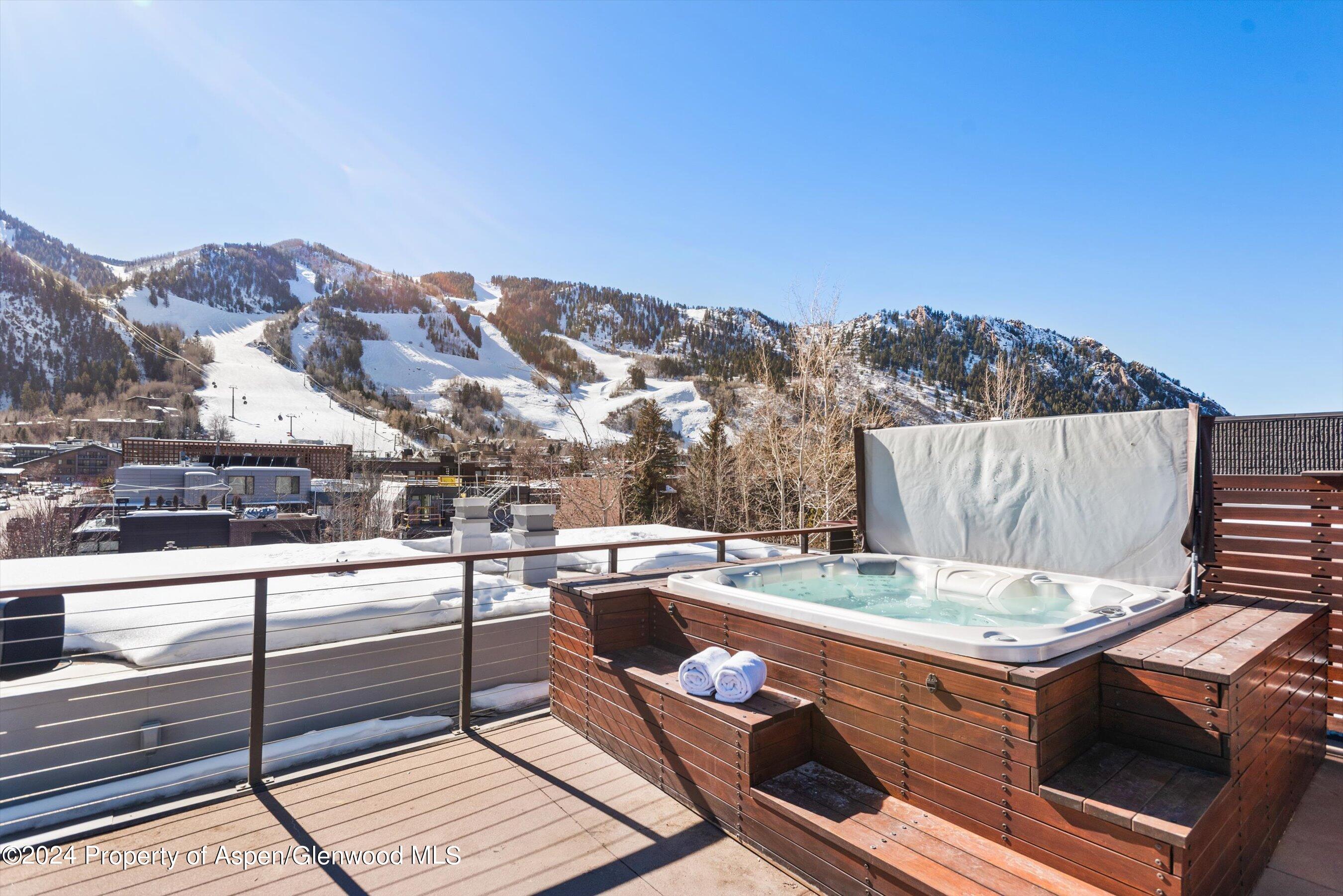 632 East Hopkins Avenue Aspen, CO 81611 - Photo 28 of 40 19-119SSpringSt_24013014