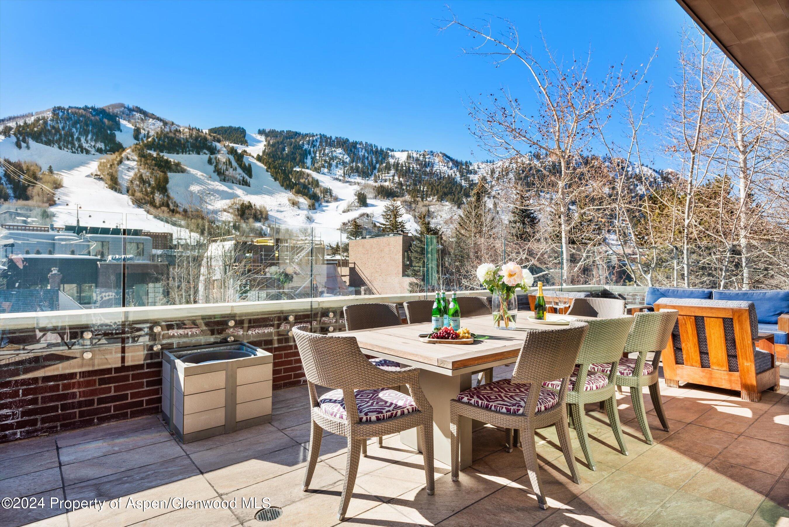 632 East Hopkins Avenue Aspen, CO 81611 - Photo 29 of 40 29-119SSpringSt_24013024