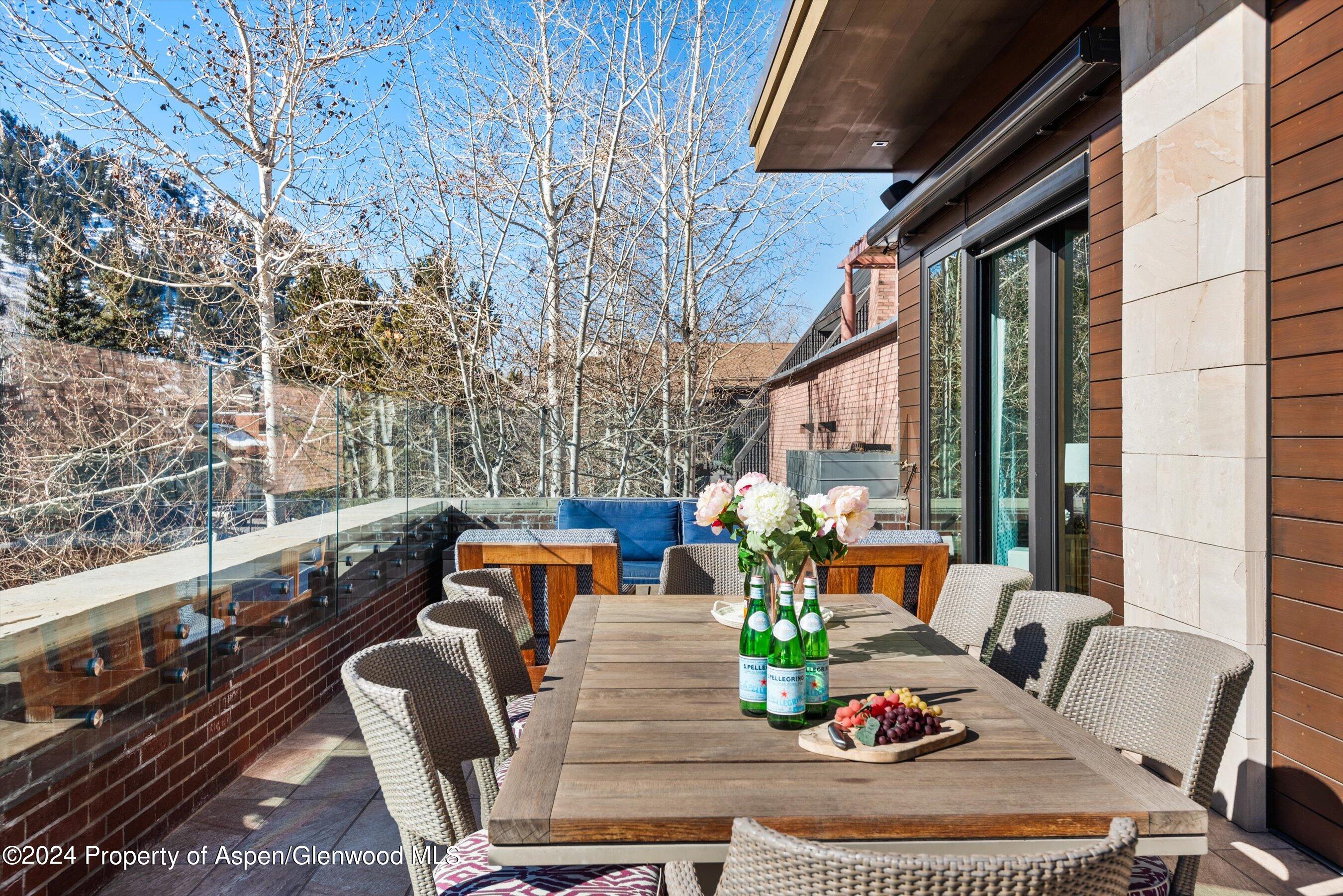 632 East Hopkins Avenue Aspen, CO 81611 - Photo 30 of 40 30-119SSpringSt_24013025