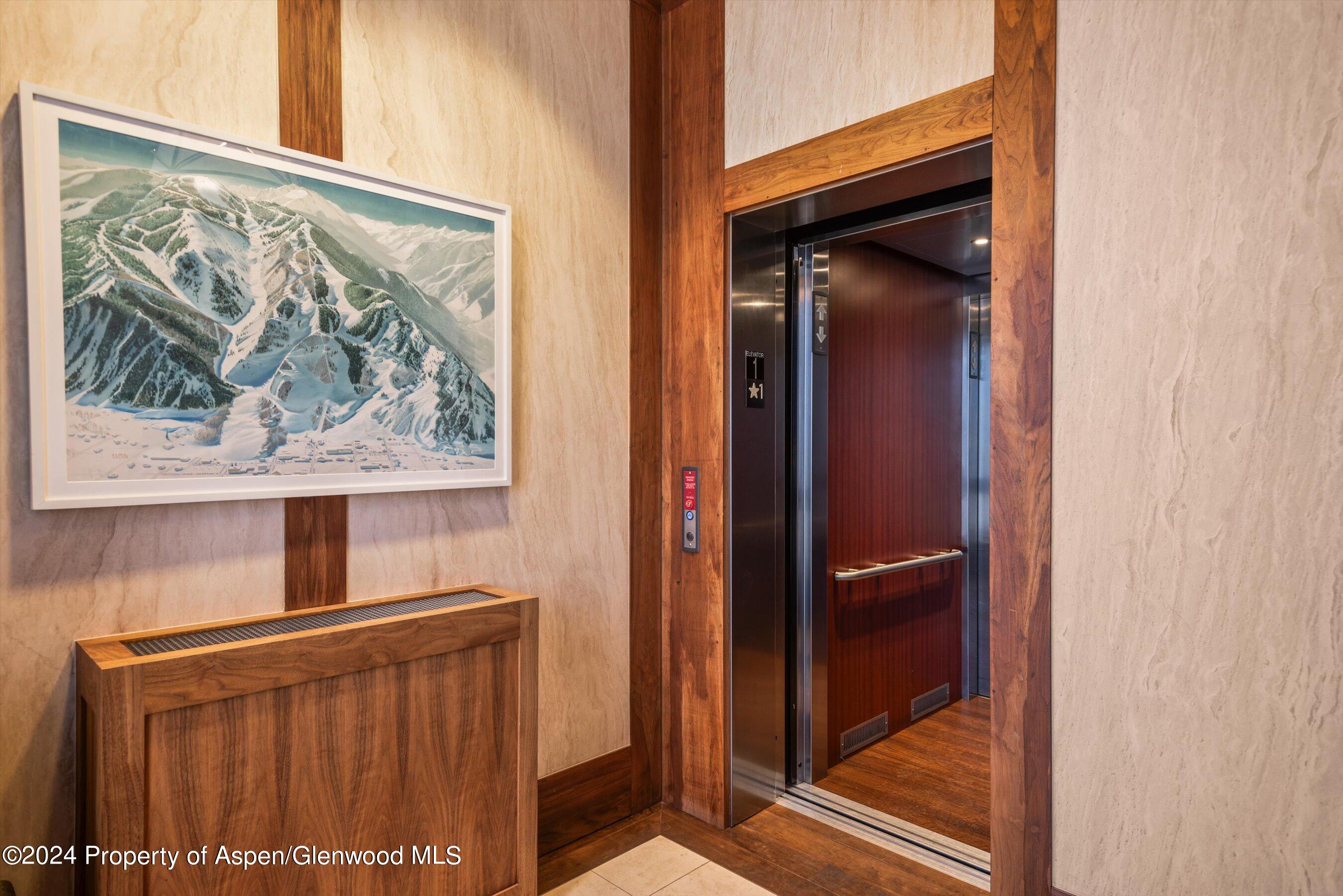 632 East Hopkins Avenue Aspen, CO 81611 - Photo 39 of 40 60-119SSpringSt_24013056