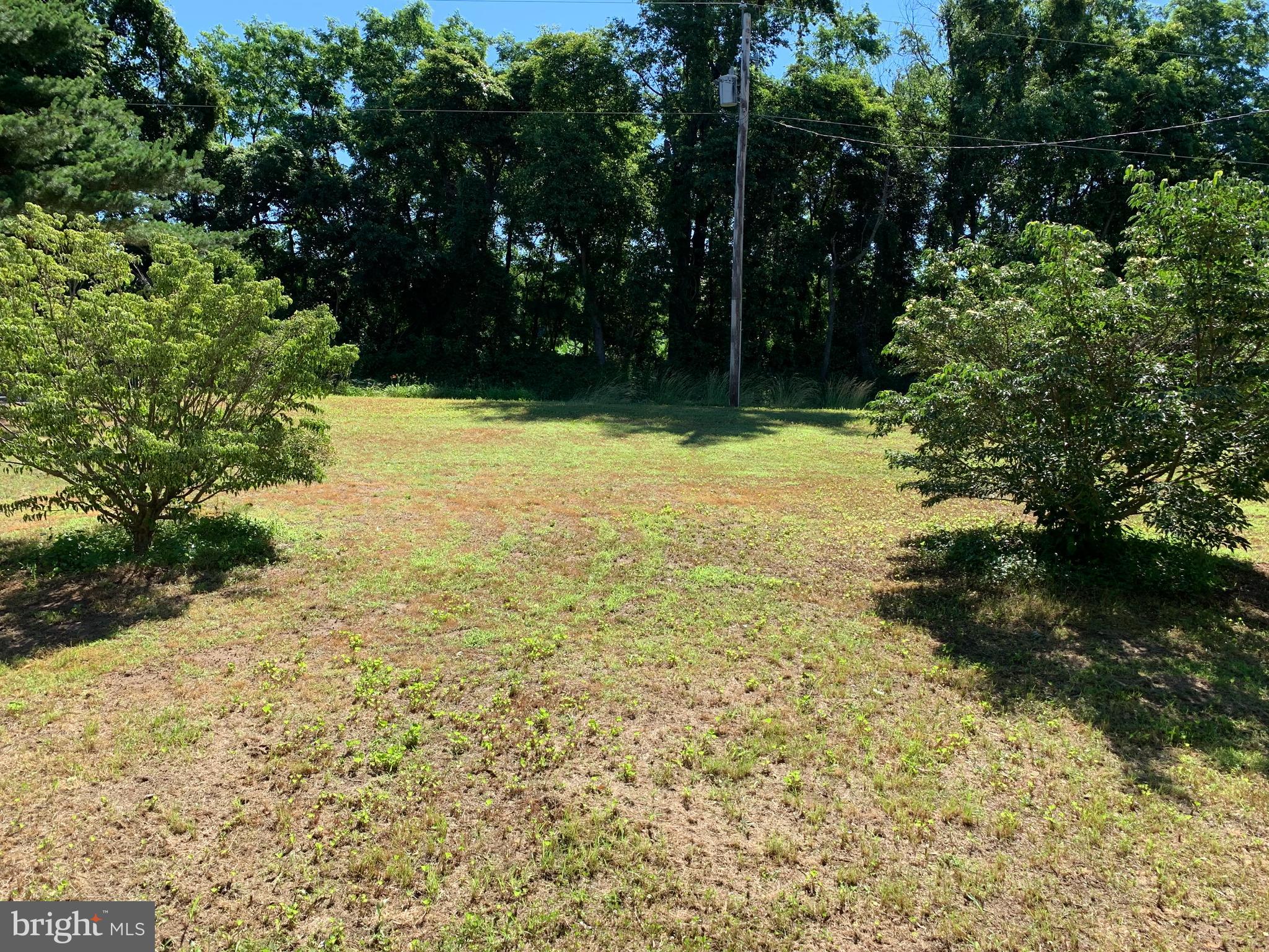 3886 Eastern Neck Road Rock Hall, MD 21661 - Photo 11 of 14 Back Yard